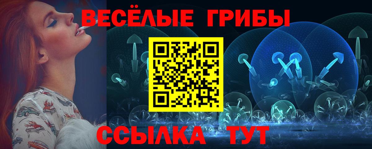 Псилоцибиновые грибы мицелий Белорецк